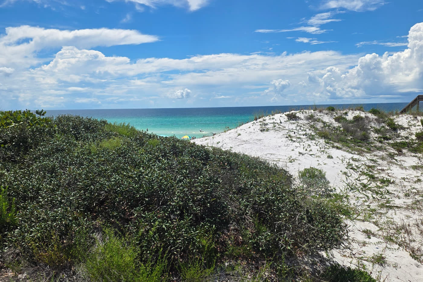 Boardwalk through sea oats toward the Gulf of Mexico