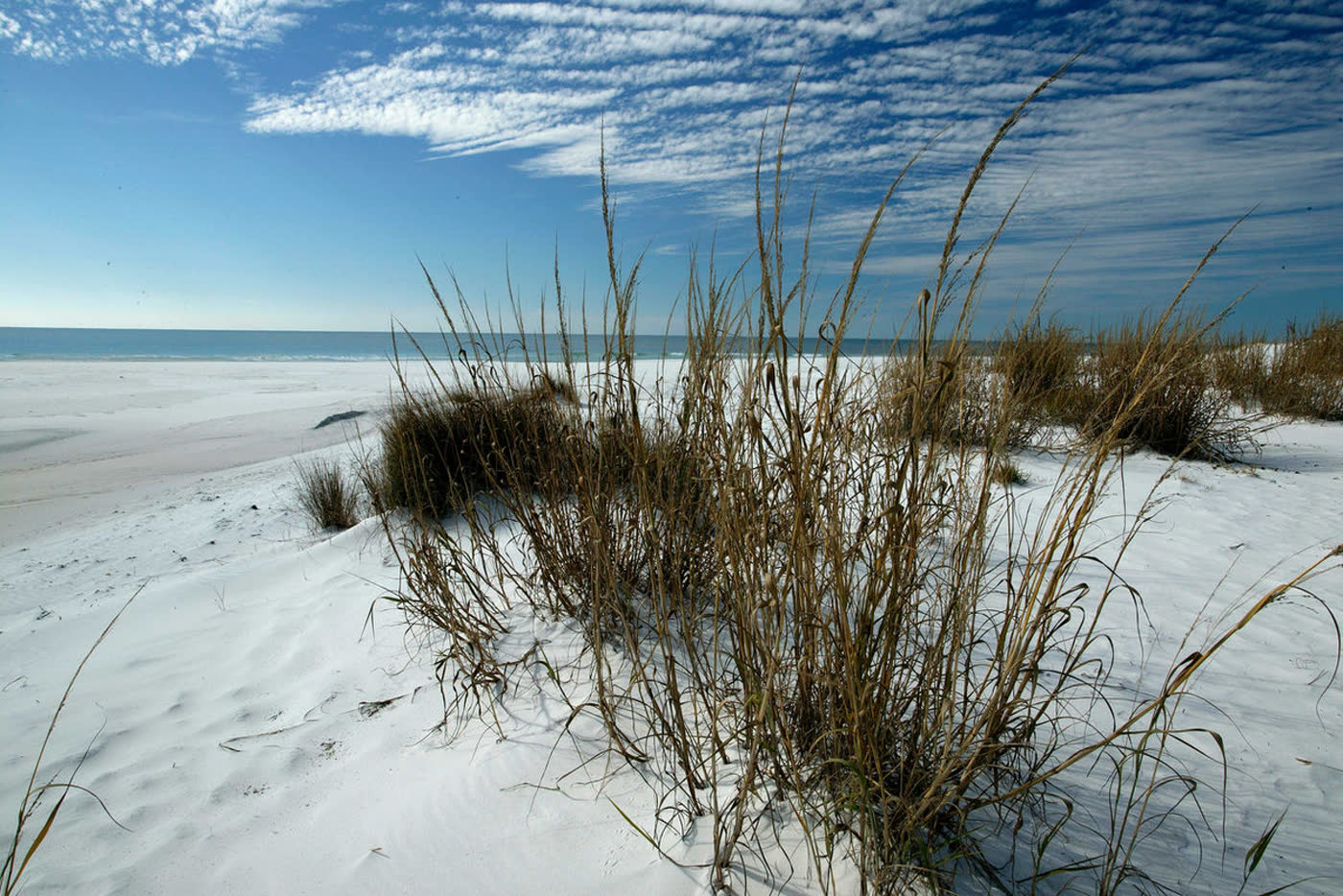 Boardwalk through sea oats opening onto the Gulf