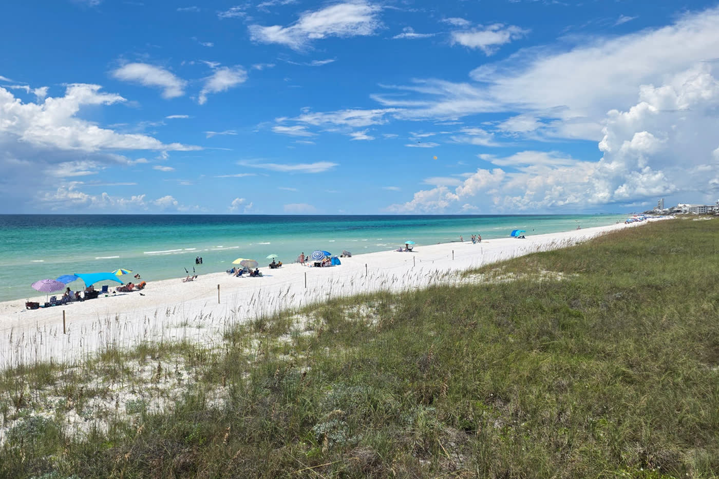 Gulf shoreline and sea oats along Scenic 30A