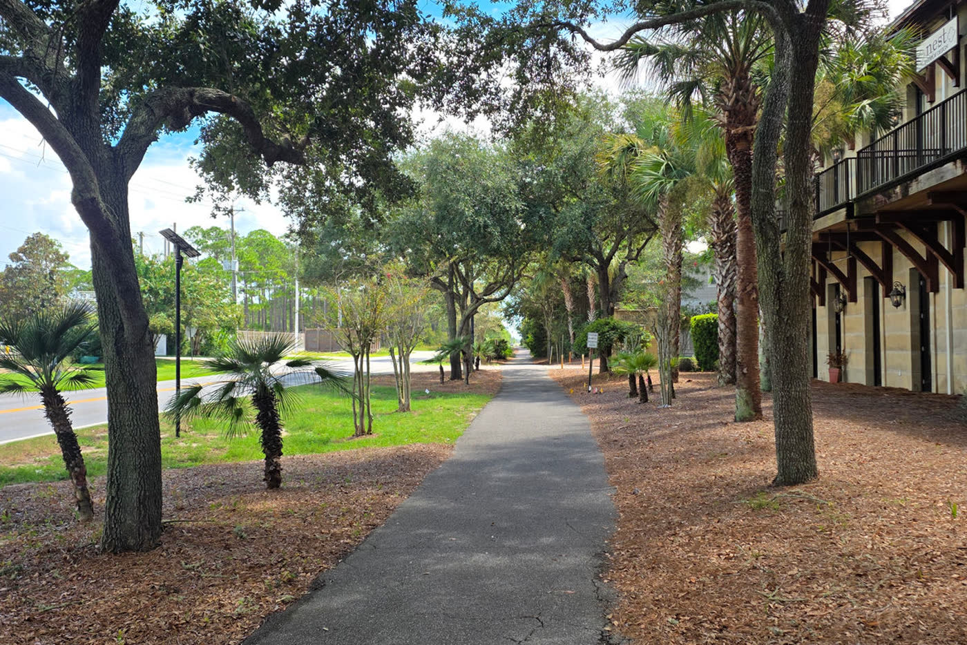 Path beside the Gulf with sea oats and pines