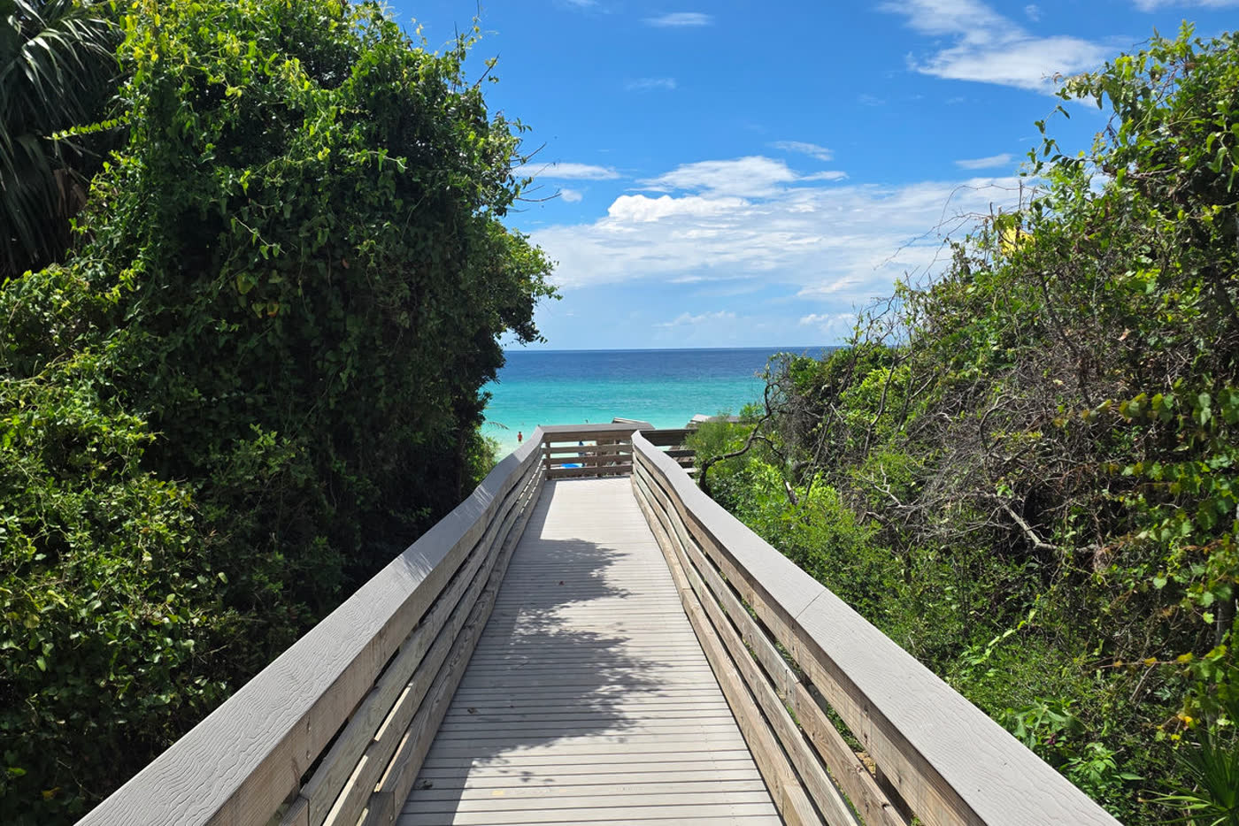 Palm-lined path in a 30A beach community