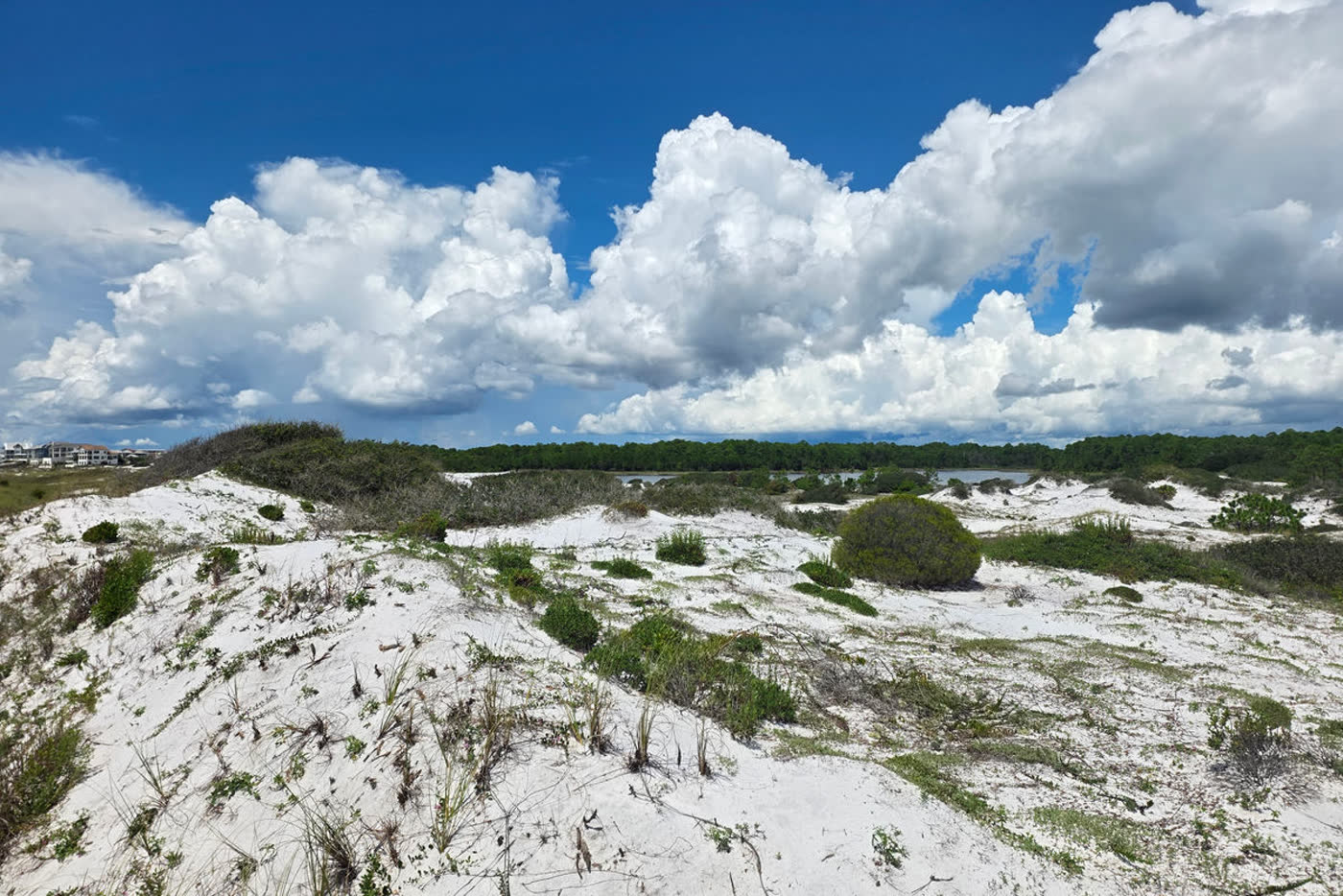 Beach boardwalk opening onto the Gulf